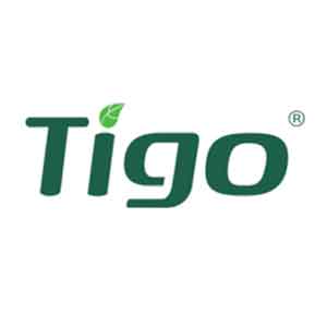 tigo